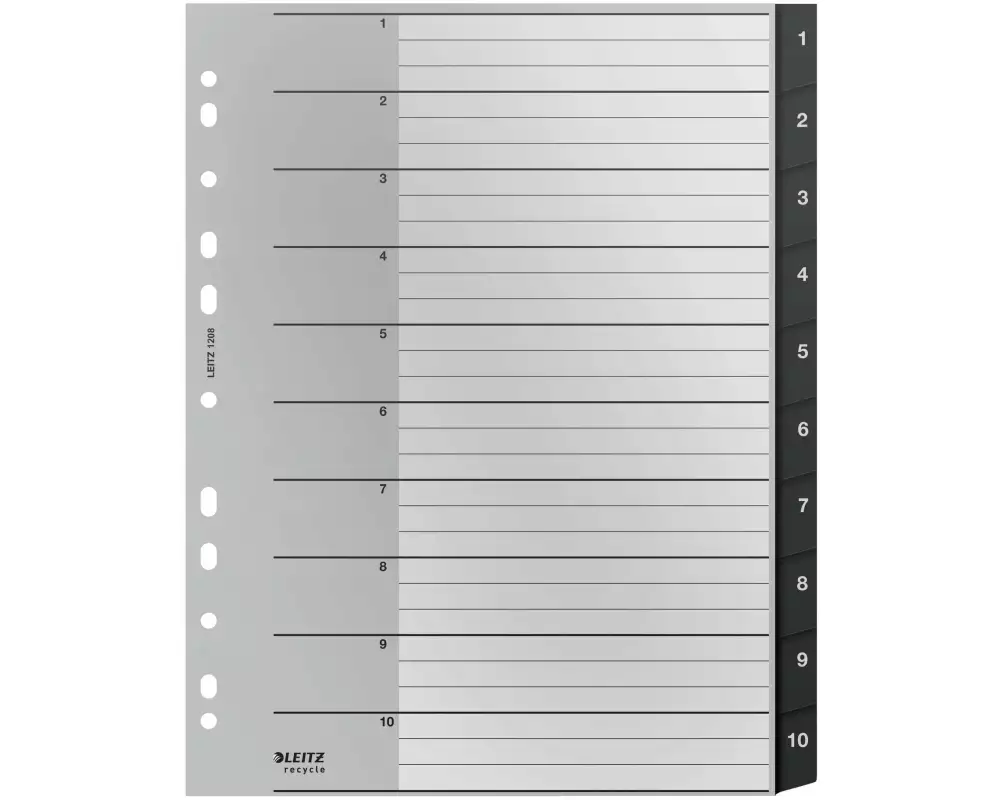 Leitz Register Recycle 1-10, A4, 10 Stück