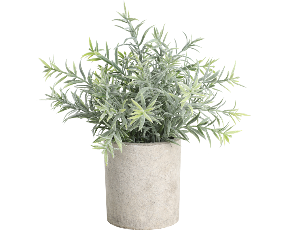 EGLO Kunstpflanze 24cm 428026 grün, im Topf