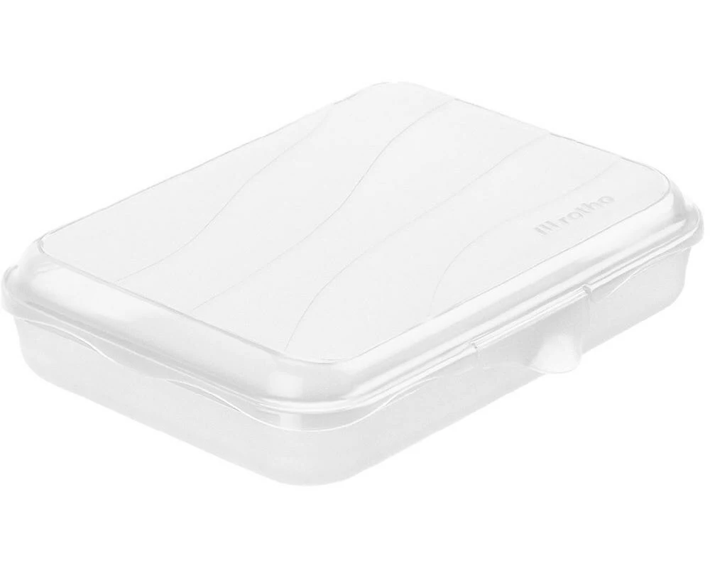 Rotho Lunchbox Fun 750 ml, Transparent