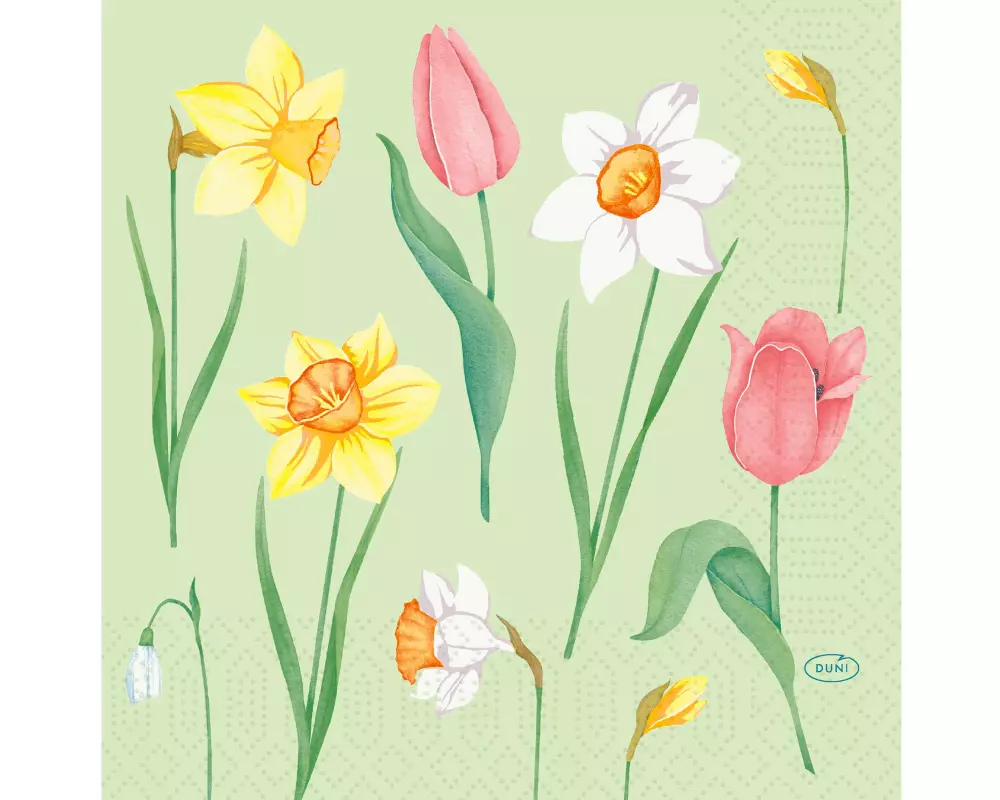 Duni Papierservietten Melody 33 cm x 33 cm, 50 Stück