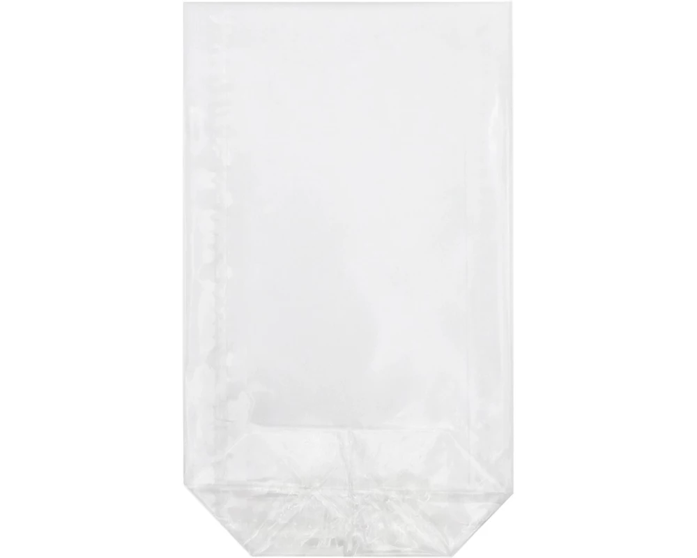 Braun + Company Klarsichttüte 18 x 30 cm, 100 Stück, Transparent