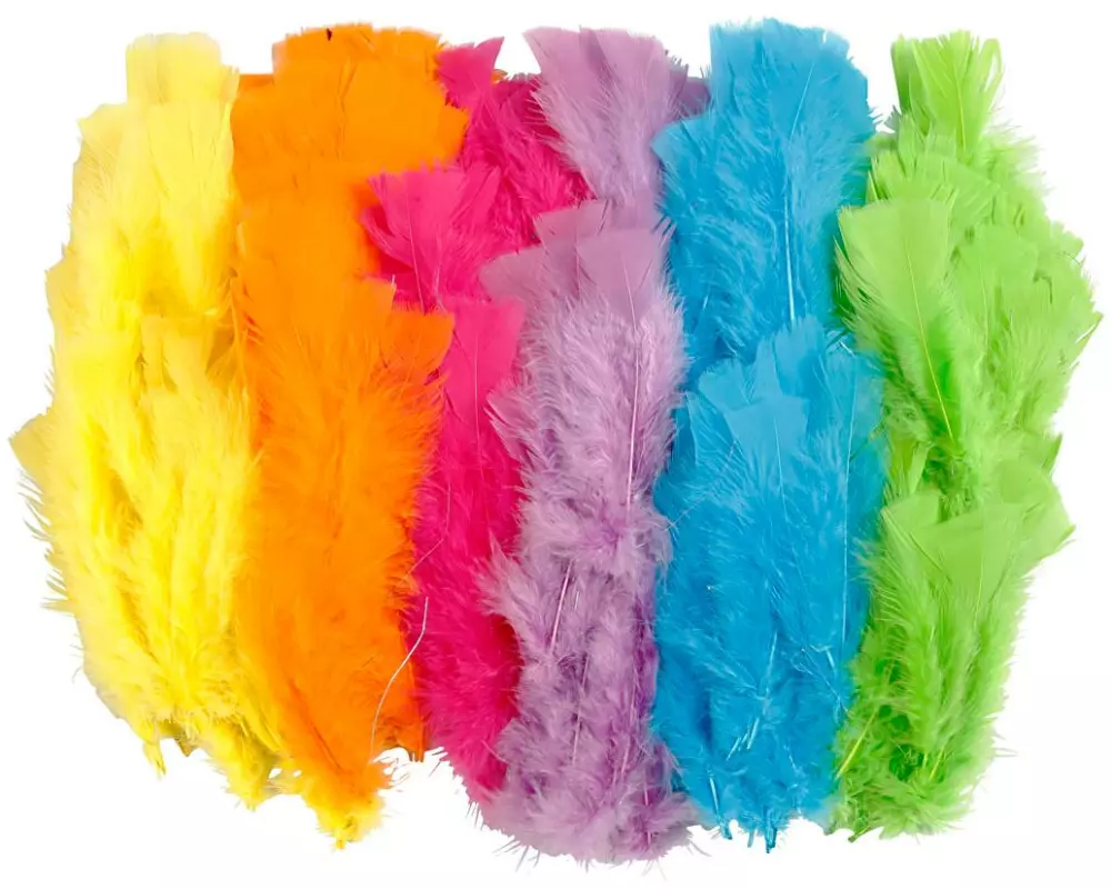Creativ Company Federn 11-17 cm, Assortiert, 144 Bündel