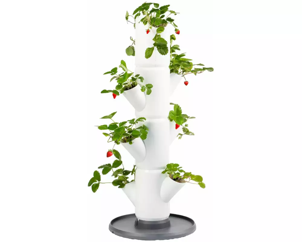 Gusta Garden Aufzuchttöpfe SISSI STRAWBERRY Starterset, Weiss