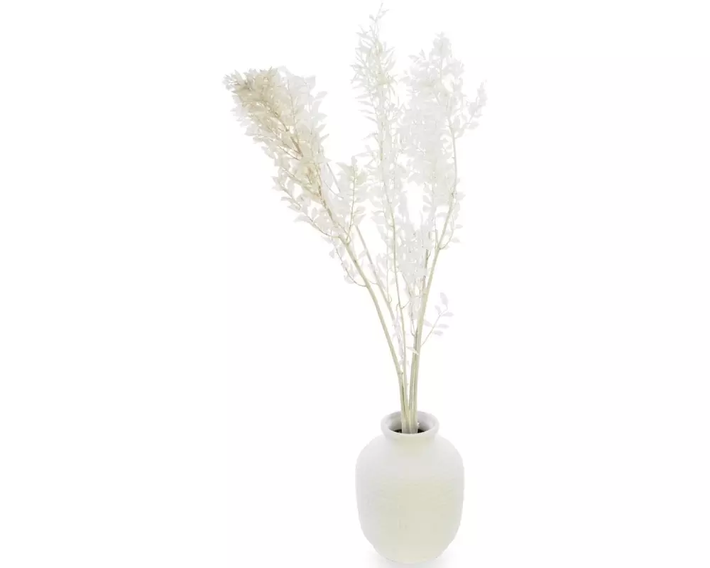 Soli Collection Trockenblumen Ruscus 70-75 cm, Weiss