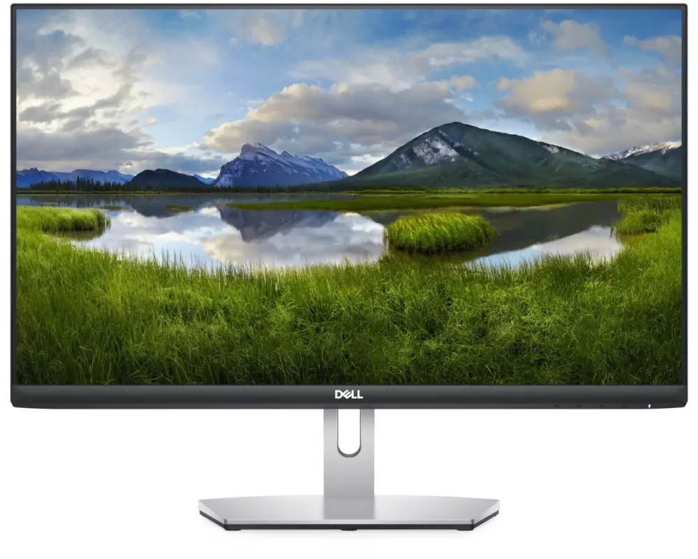 DELL Monitor S2421HN