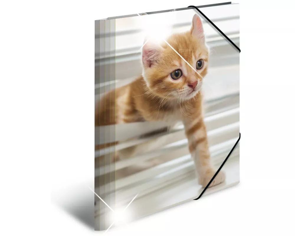 HERMA Gummibandmappe A4 Katzen, Polypropylen, mit Innendruck
