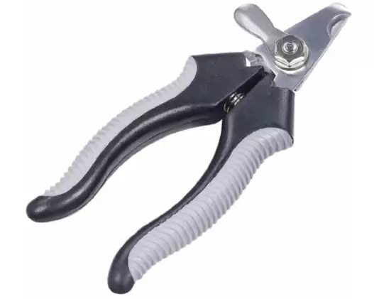 Nobby Starline Krallenschere, Klein