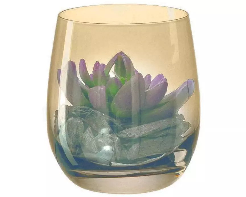 Leonardo Kunstpflanze Modo 10 cm mit Sukkulente, Hellbraun