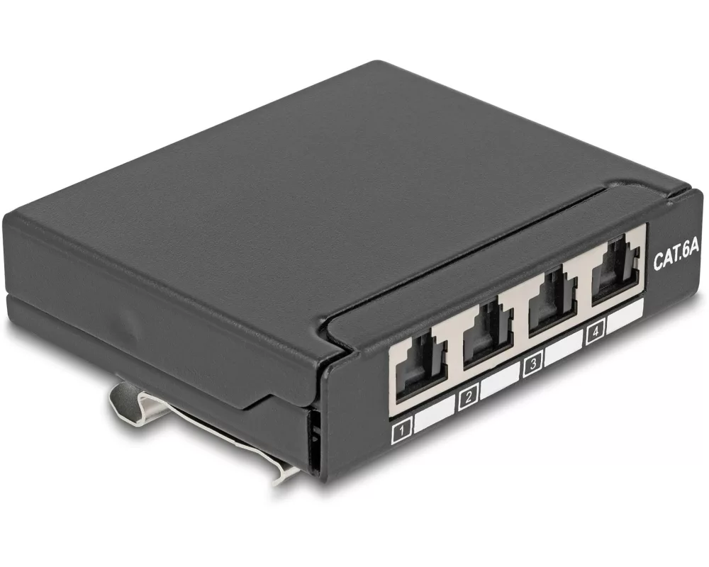 Delock Patchpanel 4-Port Desktop/DIN-Rail/Wand