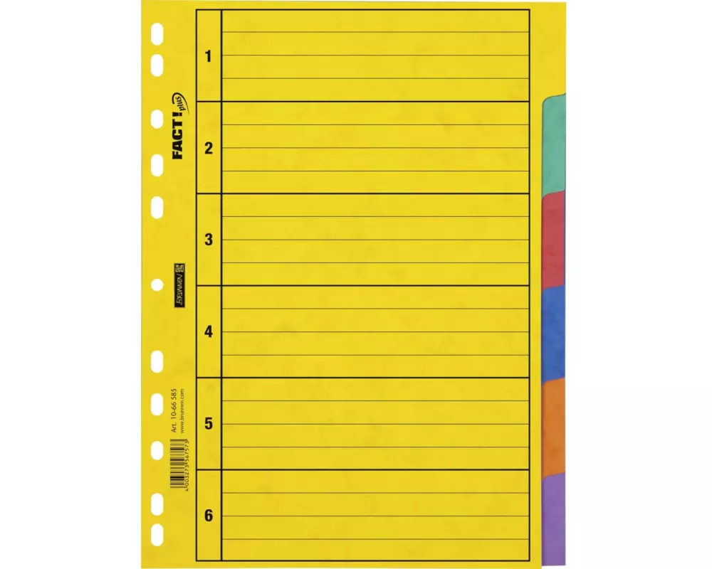 Brunnen Register A4 Fact Plus 1-6