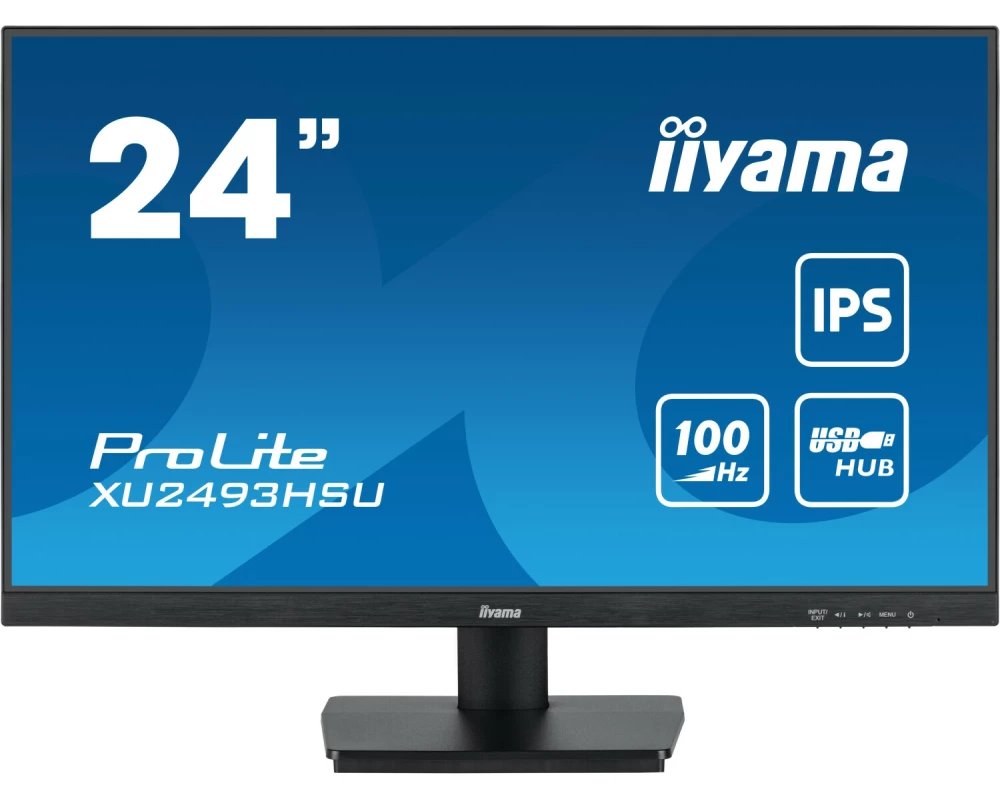 "ProLite 24"" FHD IPS Panel"
