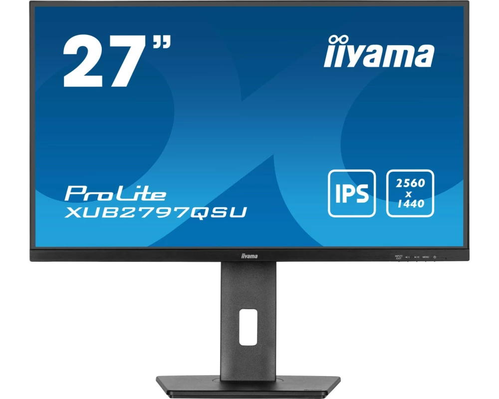"ProLite 27"" Business QHD IPS Panel"