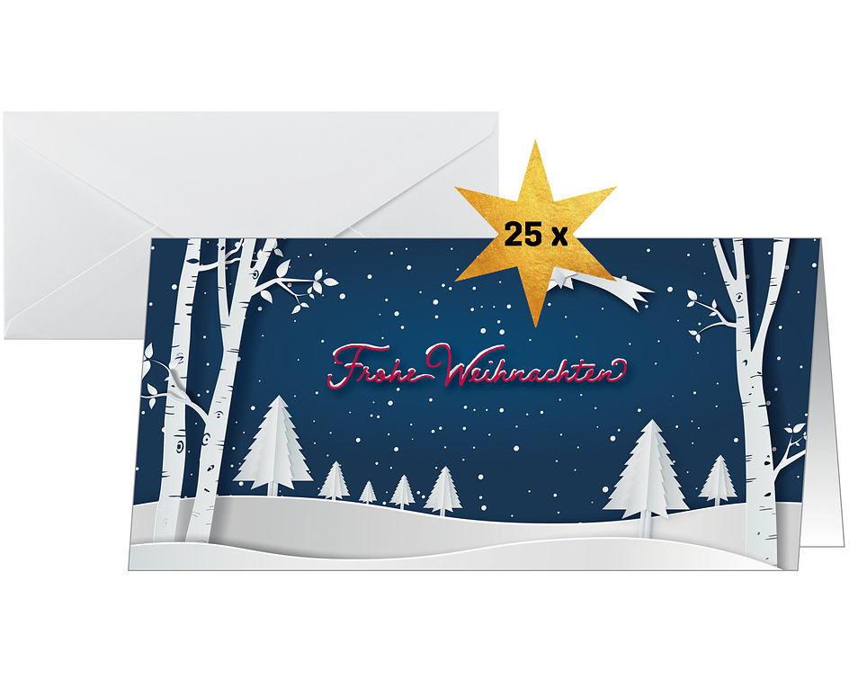 SIGEL Weihnachtskarten DL DS087 Pop up Winterlandschaft 25 Stk