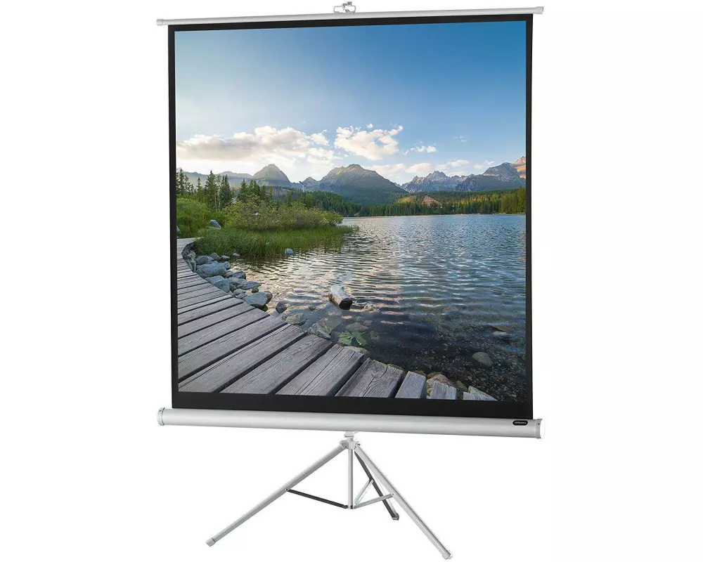 Celexon Stativleinwand Eco 184x184 cm 1:1 Weiss