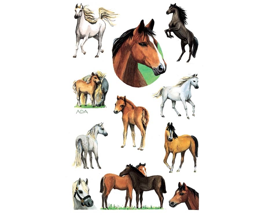 Z-DESIGN Sticker Kids 53483 Bauernhoftiere 2 Stück