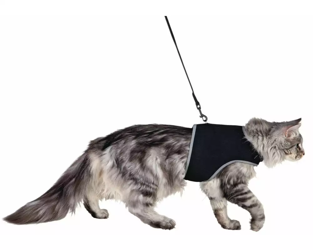 Trixie Softgeschirr Safer Life inkl. Leine