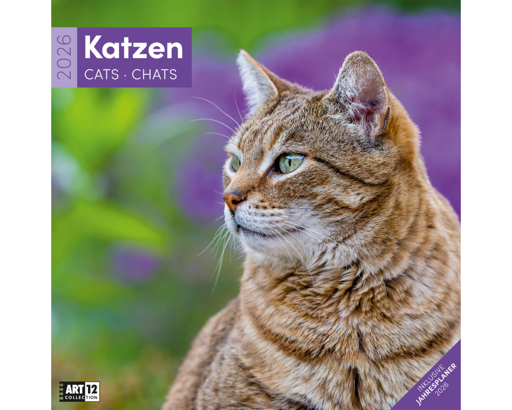 ACKERMANN Bildkalender 2026 4620 Katzen ML 30x30cm