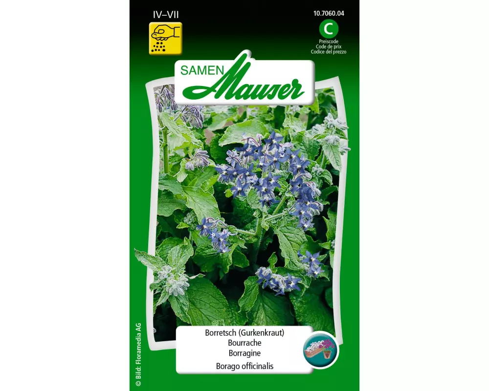 Samen Mauser Samen Borretsch (Gurkenkraut)