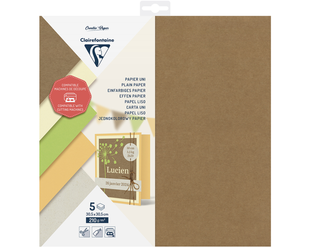 CLAIREFONTAINE Schneidepapier 30.5x30.5cm 95739C einfarbig, 210g 5 Blatt