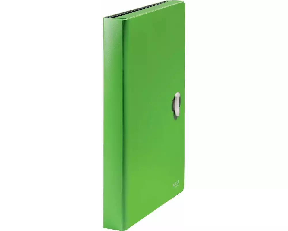 Leitz Dokumentenmappe Projektmappe A4 Grün
