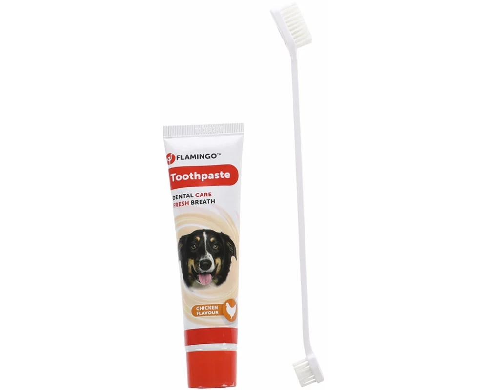 Flamingo Zahnbürste & Zahnpasta Set
