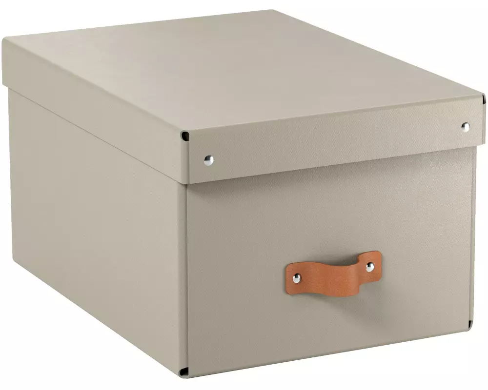 Leitz Arrchivbox Puro mittel mit Klappdeckel, 2 Stück, Sand