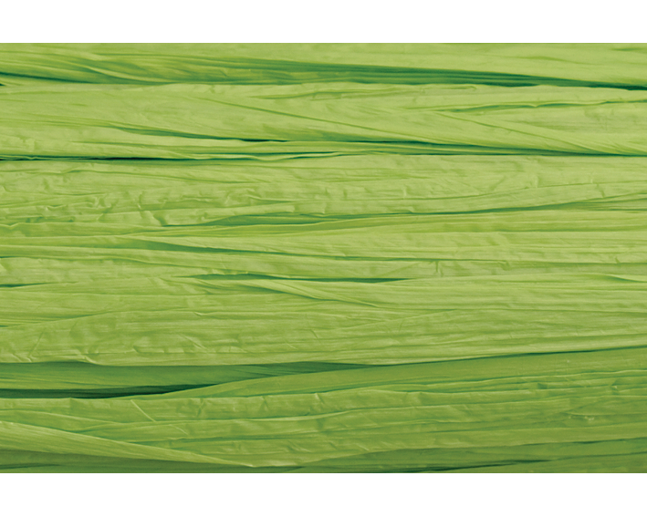 KNORR PRANDELL Edelbast 30m 8533042 lindengrün matt