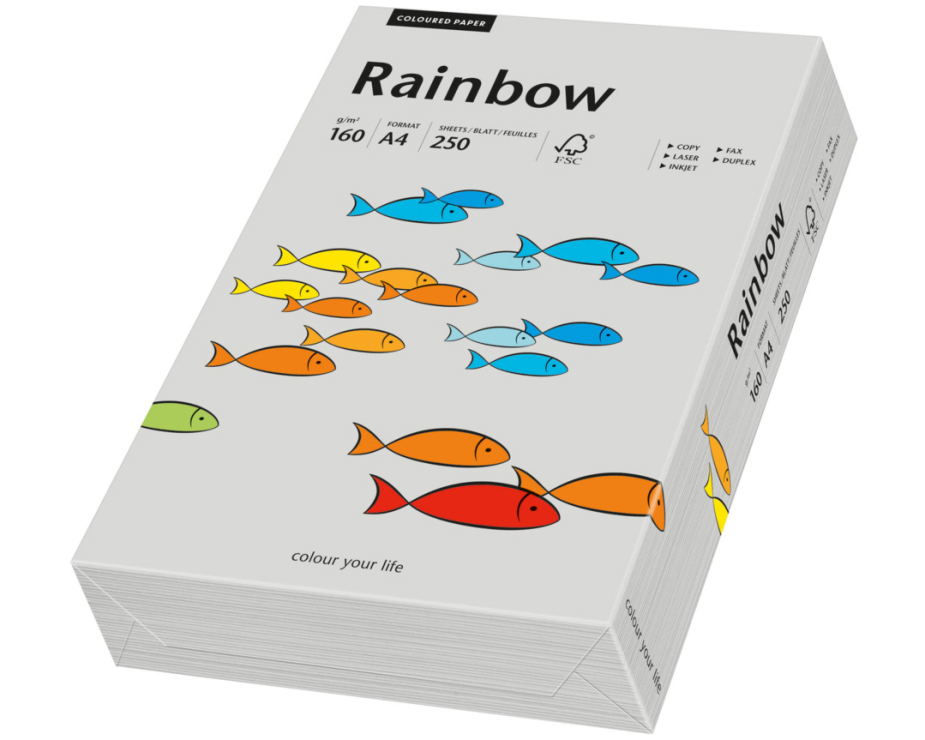 RAINBOW Papier grau/96 A4 88042813 FSC, 160g 250 Blatt