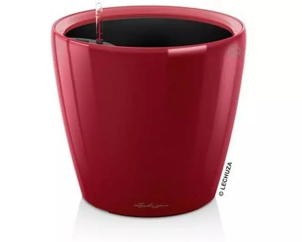 Lechuza CLASSICO Premium LS 43 Rot glanz