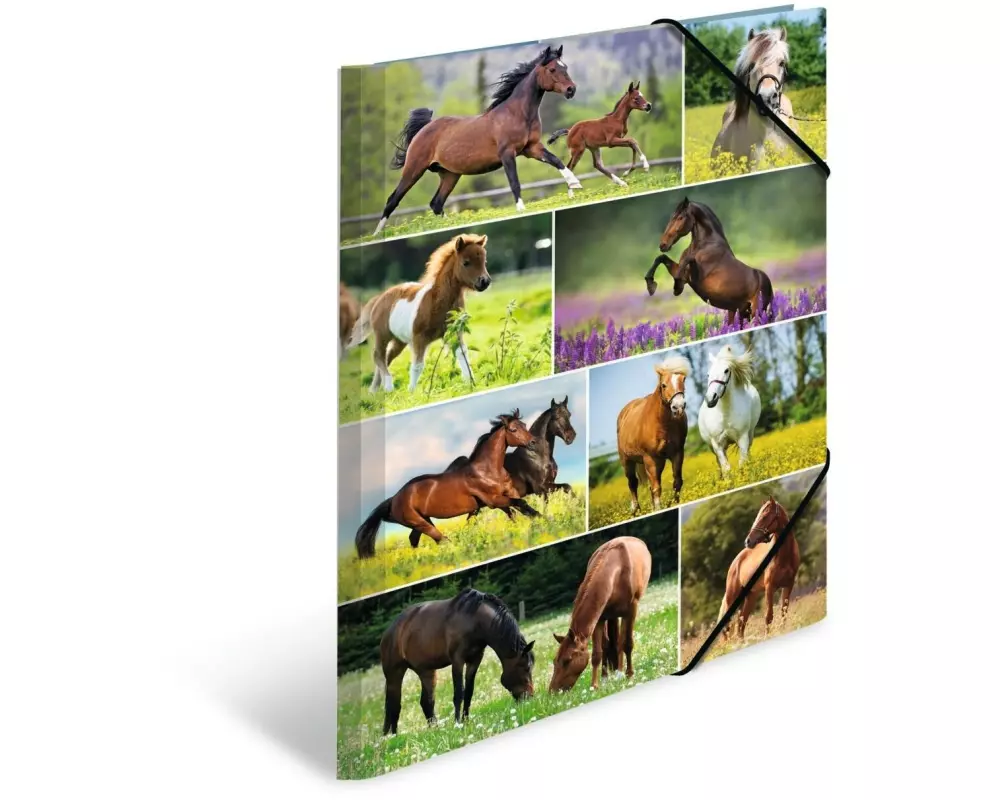 HERMA Gummibandmappe Pferdewiese A3, Mehrfarbig