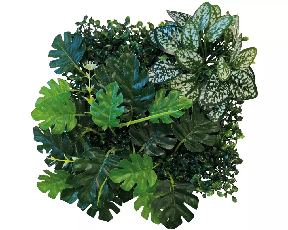 Repto Pflanzenrückwand Deco 3, 25 x 25 cm