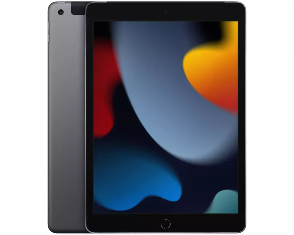 Apple iPad 9th Gen. Cellular 256 GB Grau
