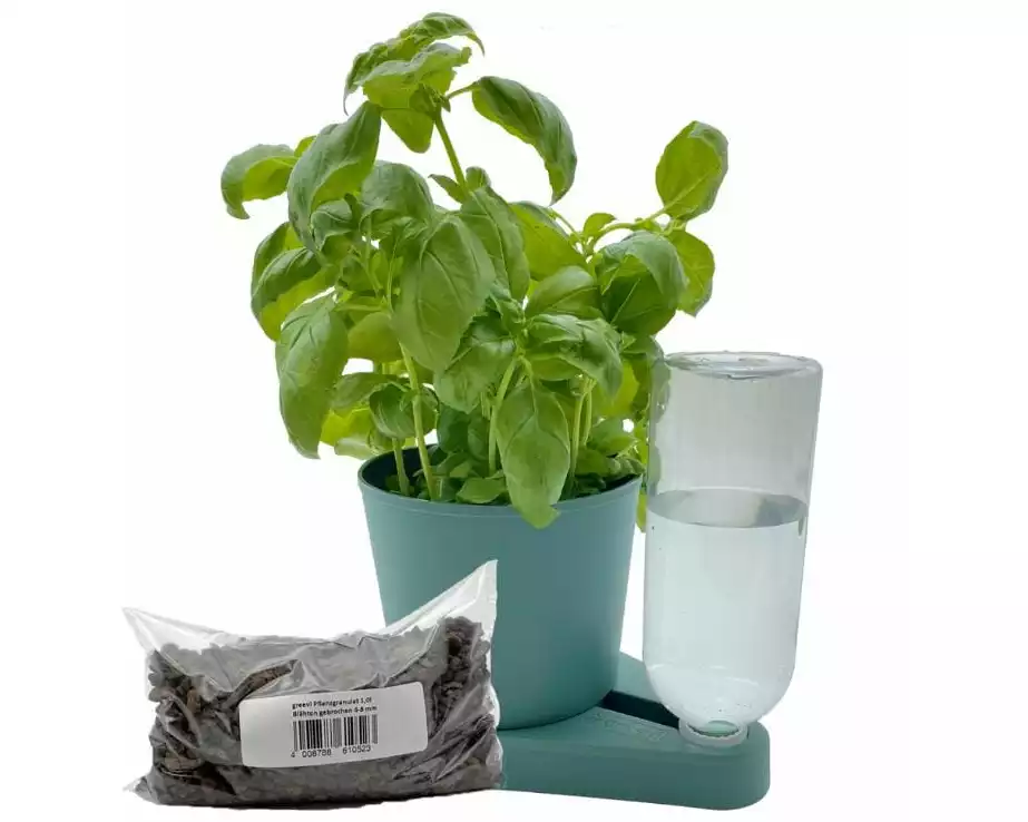 Greevi Kräuterheld und Pflanzgranulat Bundle Dunkelgrün