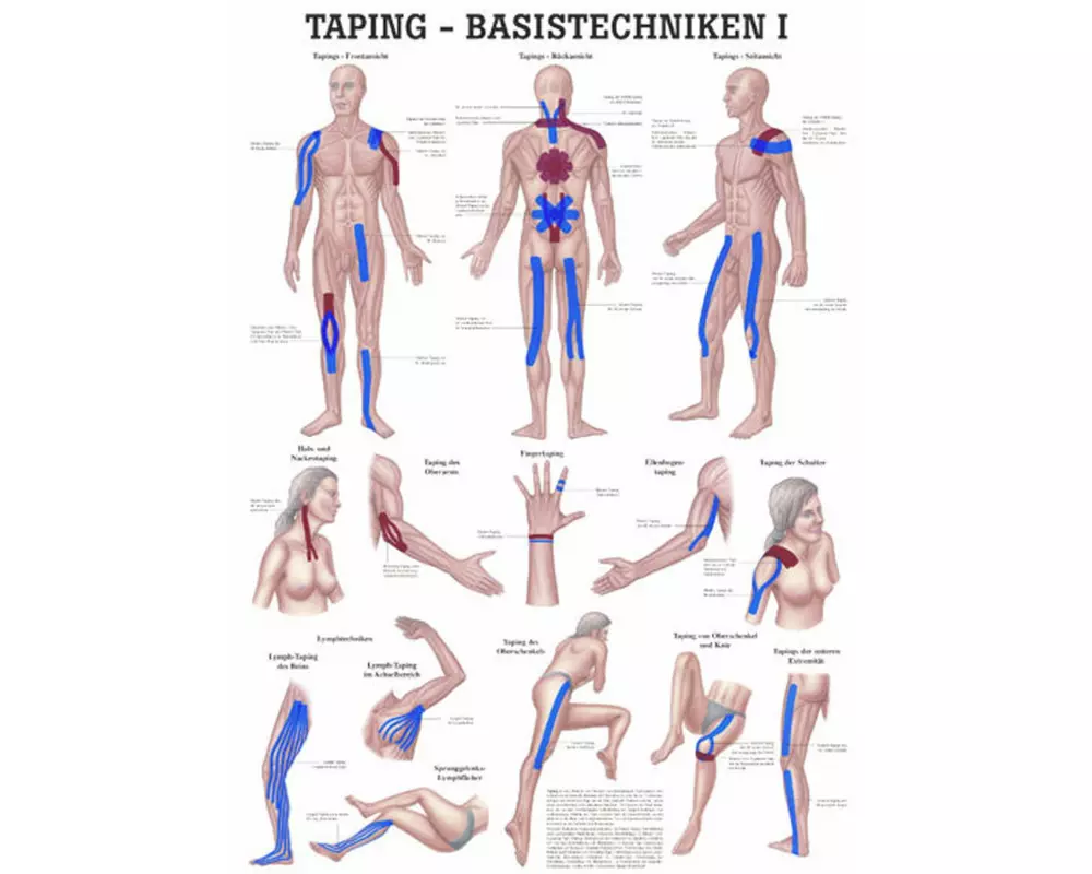Rüdiger Anatomische Lehrtafel Taping Basistechniken I 70 x 100 cm