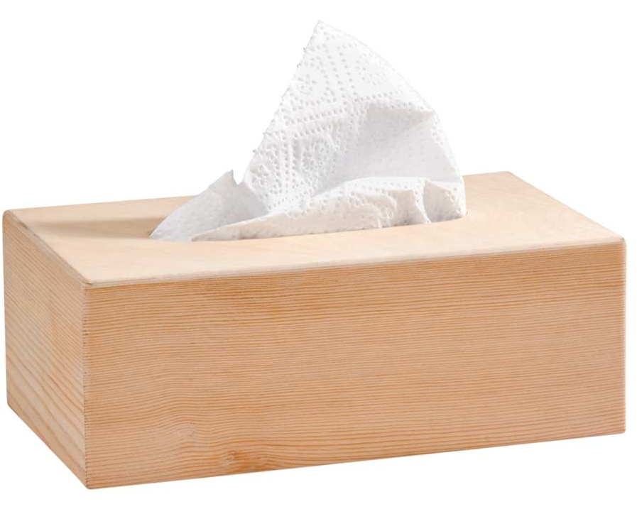 GLOREX Kosmetiktuchbox 25x13x9cm 61683900 Holz