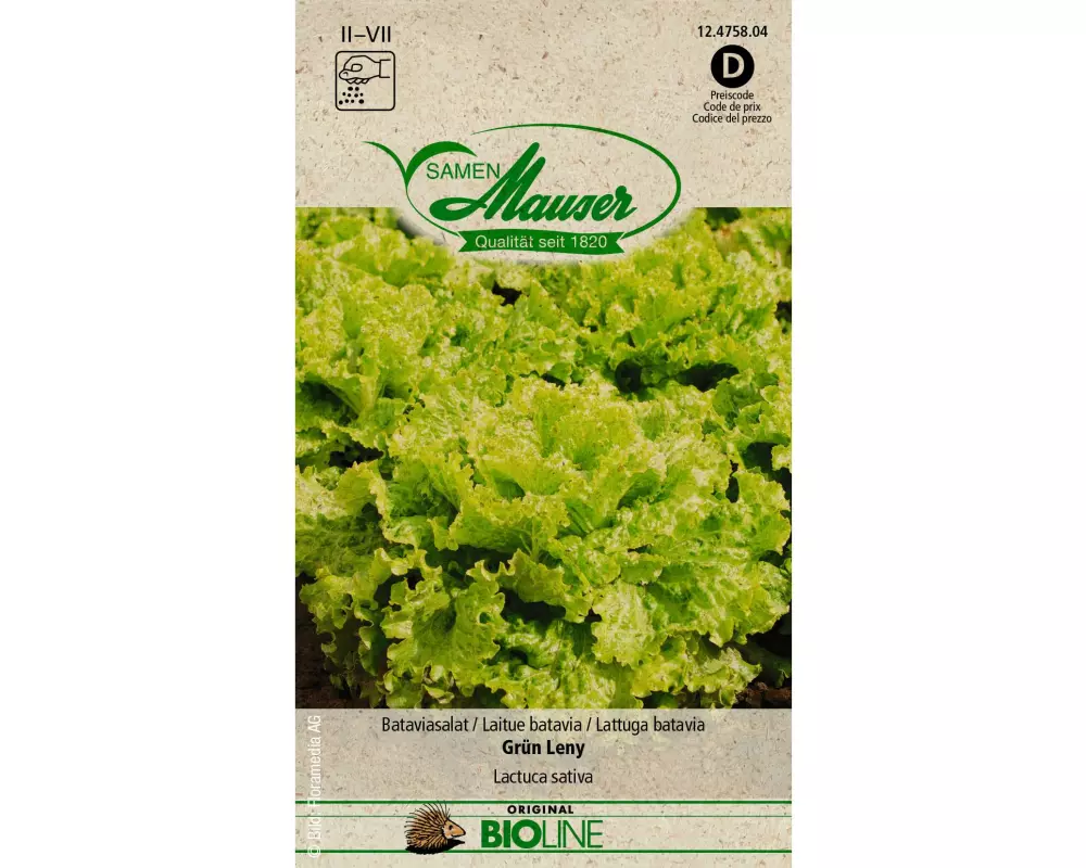 Samen Mauser Samen BIO Bataviasalat Grün Leny
