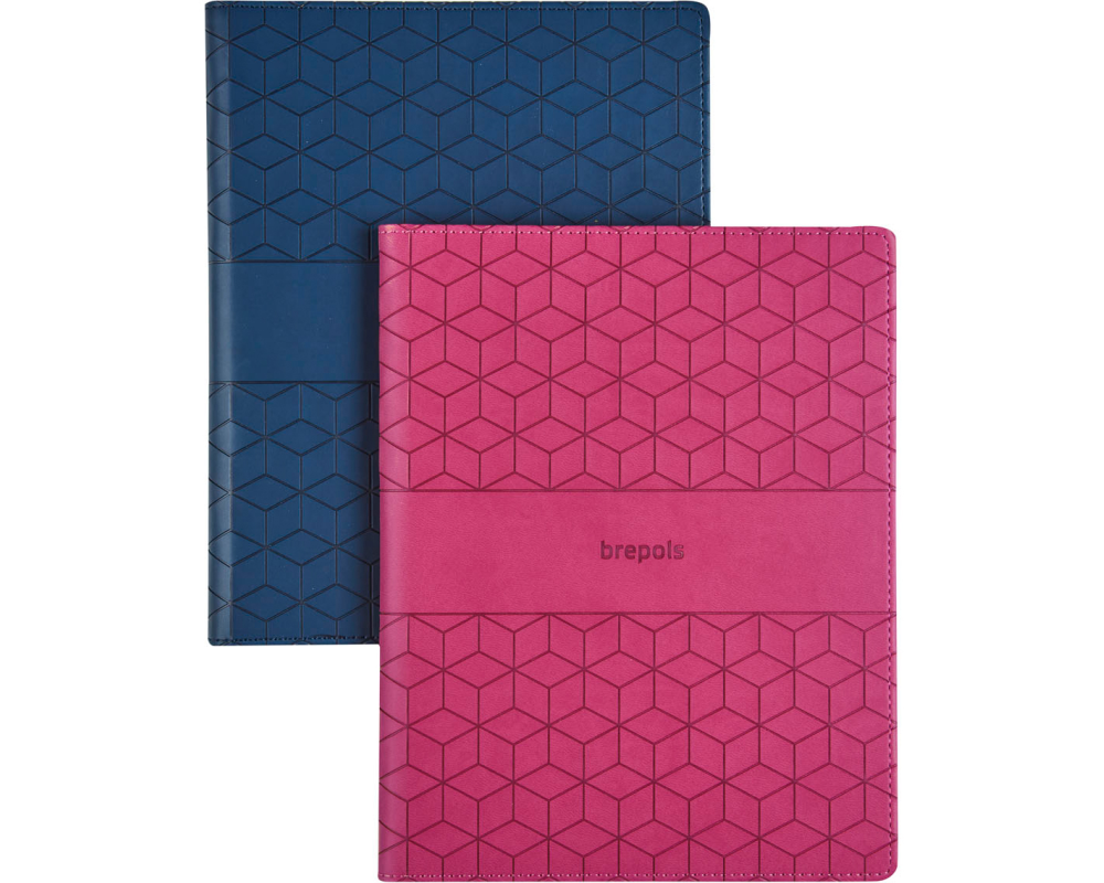 BREPOLS Agenda Timing Cube 2026 13634519920 1W/2S ass. 17.1x22cm