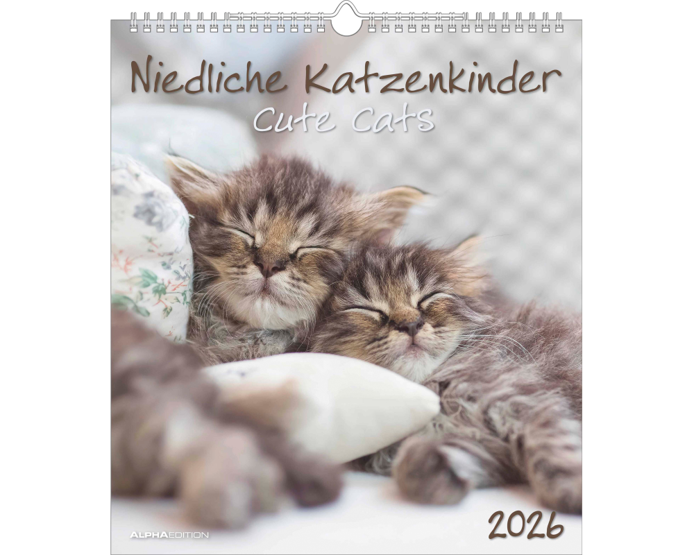 ALPHA EDITION Bildkalender 2026 160575 Katzenkinder ML 30x34cm