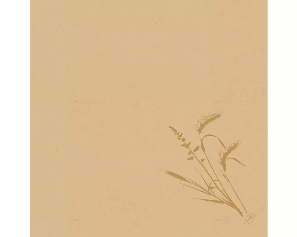 Duni Papierservietten Meadow 40 cm x 40 cm, 60 Stück, Nature