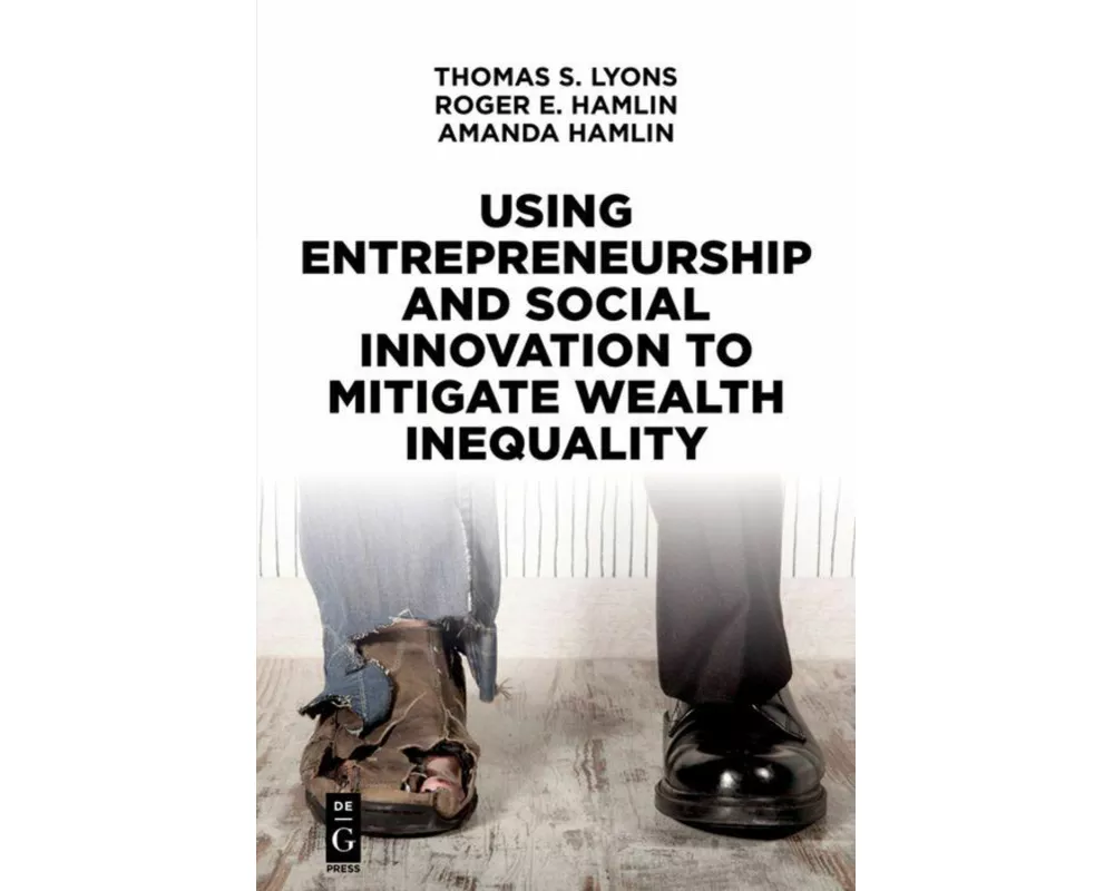 Using Entrepreneurship and Social Innovation to Mitigate Wealth Inequality