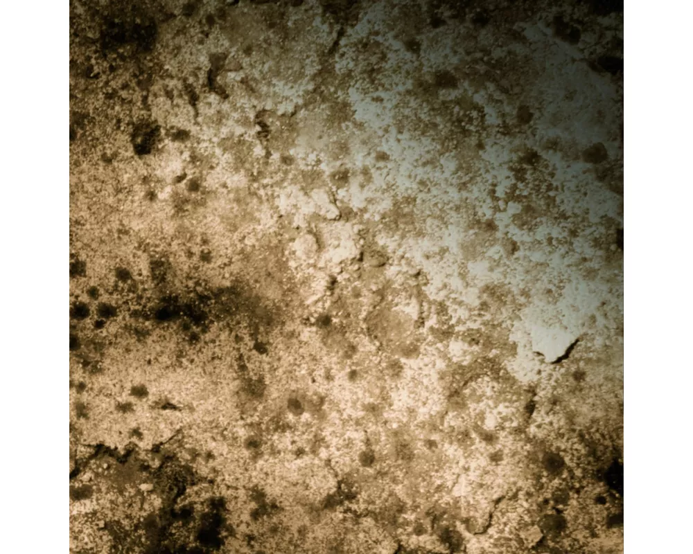 Guitar-Tribute to the Beatles