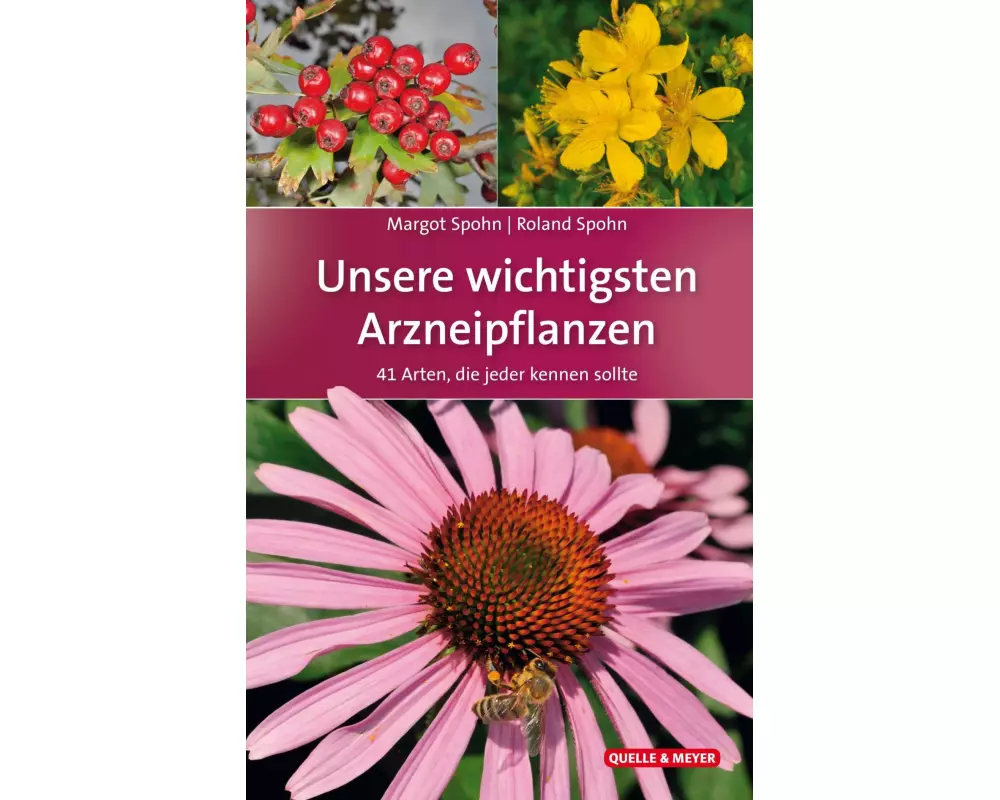 Unsere wichtigsten Arzneipflanzen