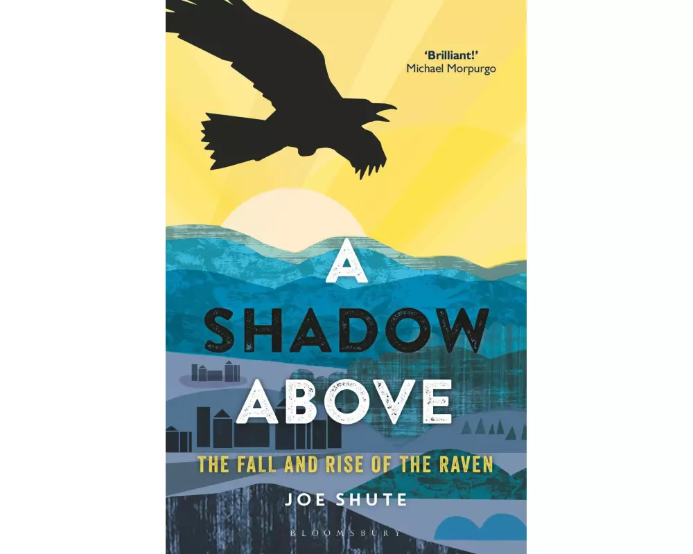 A Shadow Above