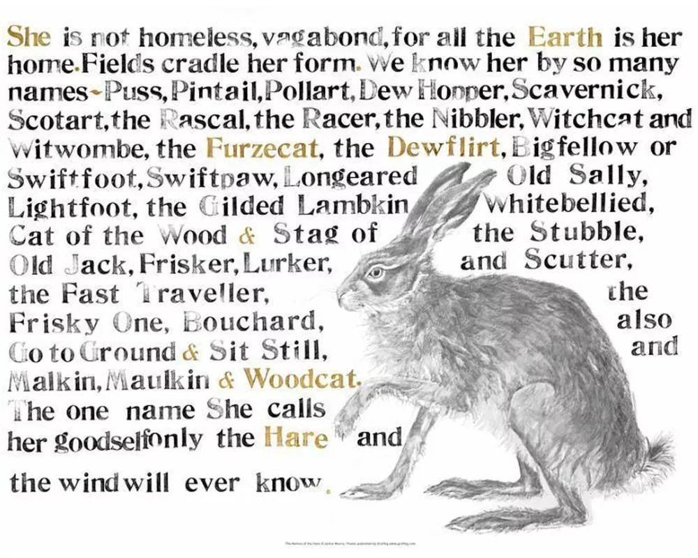 Jackie Morris Poster: Names of the Hare, The