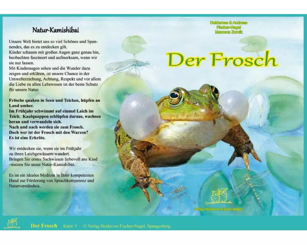 Natur-Kamishibai - Der Frosch