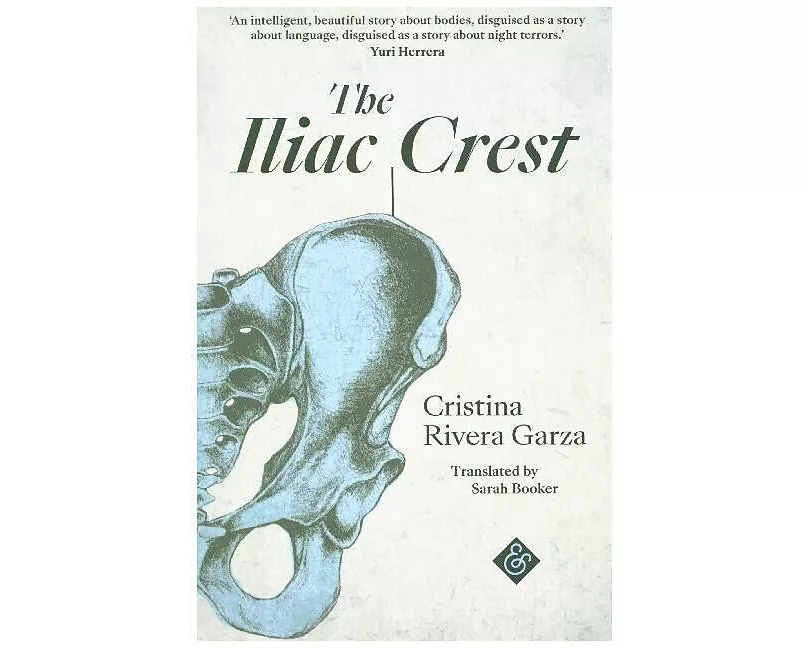 The Iliac Crest