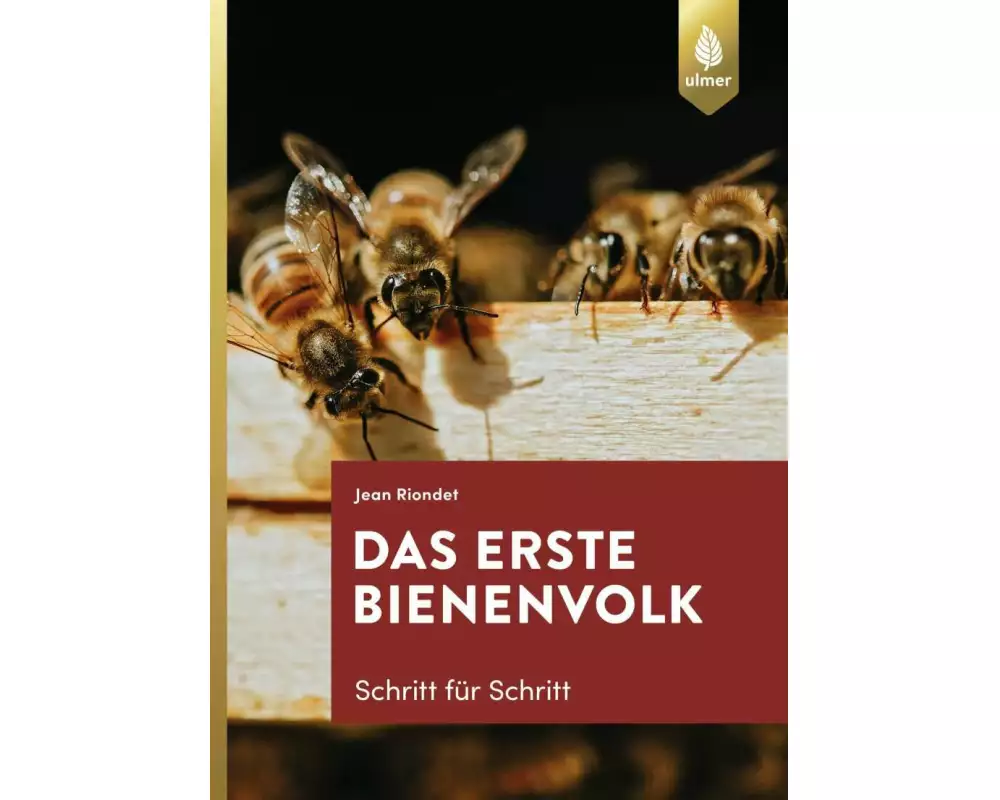 Das erste Bienenvolk - Schritt für Schritt