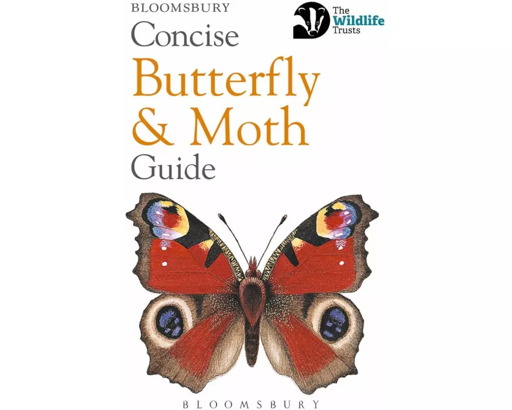 Concise Butterfly and Moth Guide