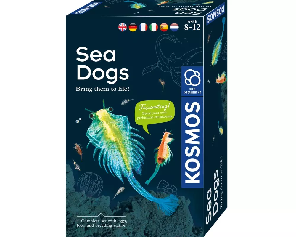 Kosmos Experimentierkasten Sea Dogs