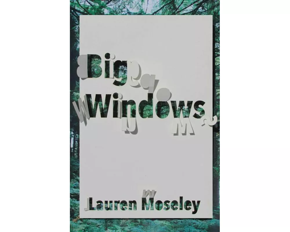 Big Windows